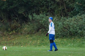 Bild 146 - Frauen SV Henstedt Ulzburg III - Bramstedter TS : Ergebnis: 1:0